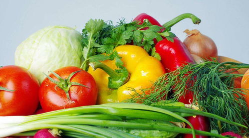 鮮靈靈，水嫩嫩——哪些蔬菜最適宜現(xiàn)摘現(xiàn)吃